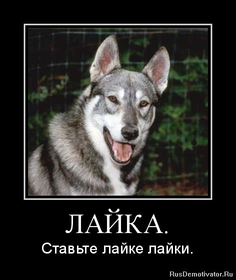 Как самому себе ставить лайки