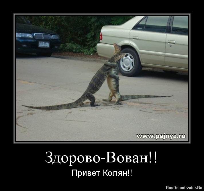http://rusdemotivator.ru/uploads/02-04-12/1328352935-zdorovo-vovan.jpg