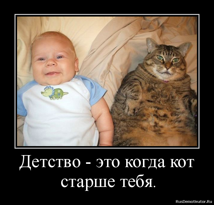 Детство - это когда кот старше тебя.