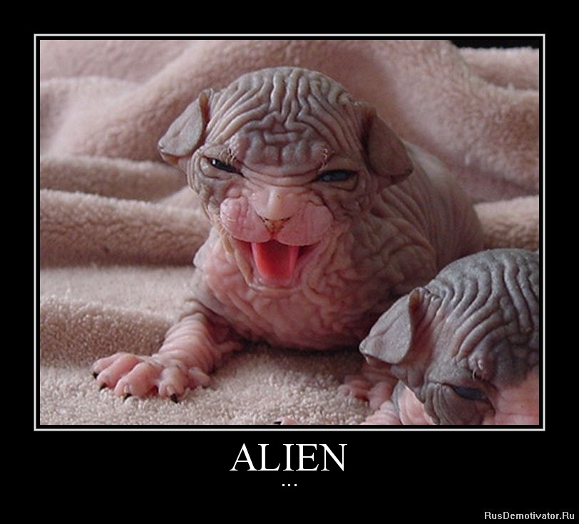 ALIEN - ...