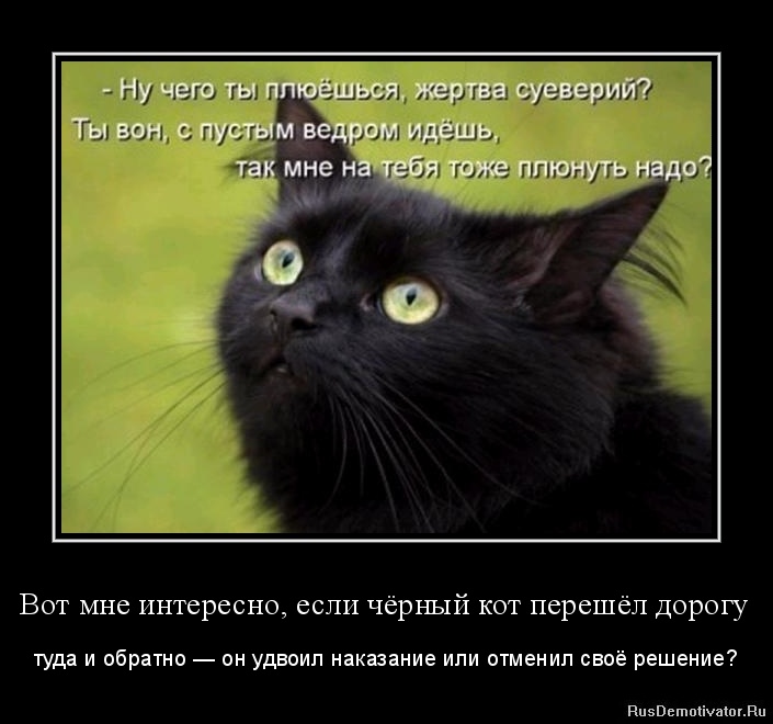 Вот мне интересно, если чёрный кот перешёл дорогу - туда и обратно — он удвоил наказание или отменил своё решение?