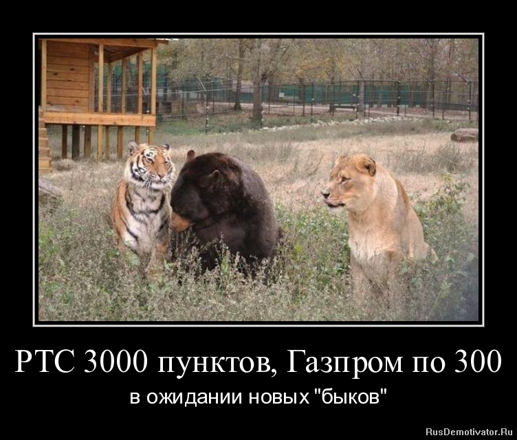 РТС 3000 пунктов, Газпром по 300 - в ожидании новых "быков" РТС 3000 пунктов, Газпром по 300 - в ожидании новых "быков"
