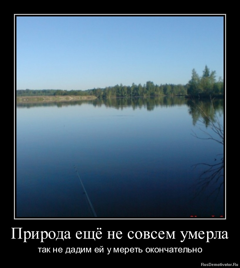 Куплю майку в Благовещенске