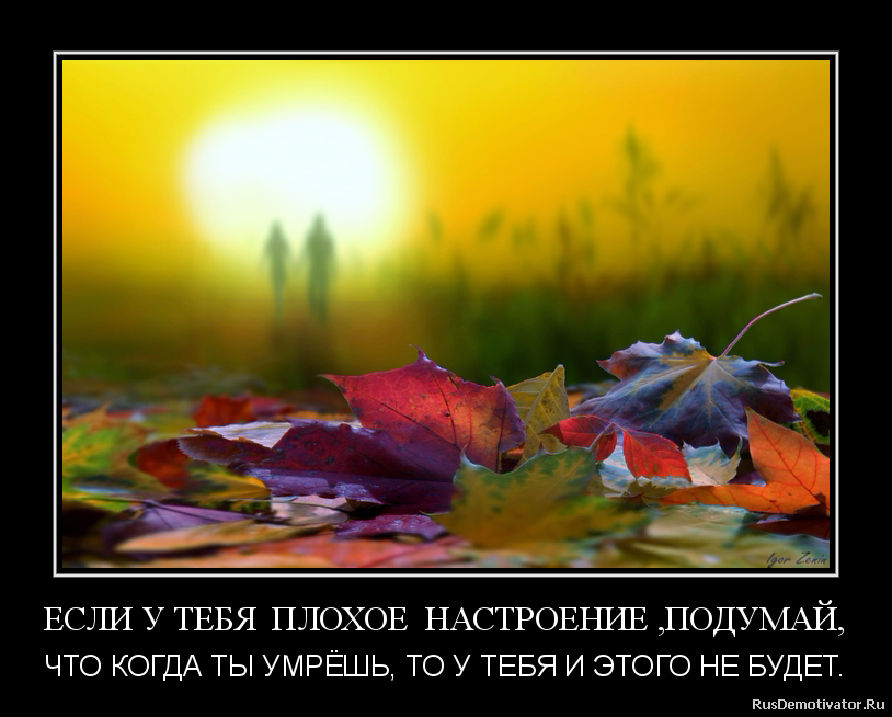 ЕСЛИ У ТЕБЯ ПЛОХОЕ НАСТРОЕНИЕ ,ПОДУМАЙ, - ЧТО КОГДА ТЫ УМРЁШЬ, ТО У ТЕБЯ И ЭТОГО НЕ БУДЕТ. ЕСЛИ У ТЕБЯ ПЛОХОЕ НАСТРОЕНИЕ ,ПОДУМАЙ, - ЧТО КОГДА ТЫ УМРЁШЬ, ТО У ТЕБЯ И ЭТОГО НЕ БУДЕТ.