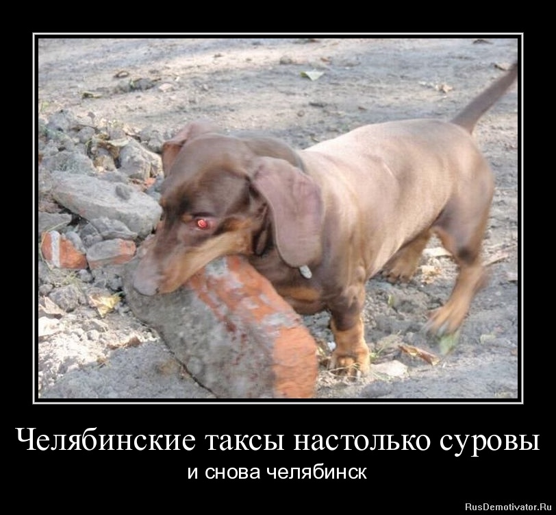 http://rusdemotivator.ru/uploads/04-18-11/1303120191-chelyabinskie-taksy-nastolko-surovy.jpg