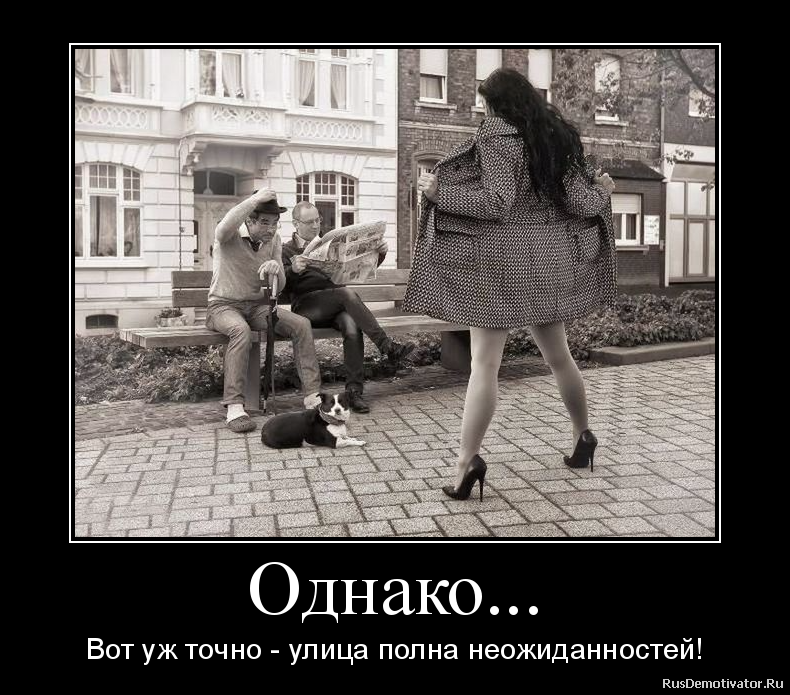 Однако... - Вот уж точно - улица полна неожиданностей! Однако... - Вот уж точно - улица полна неожиданностей!