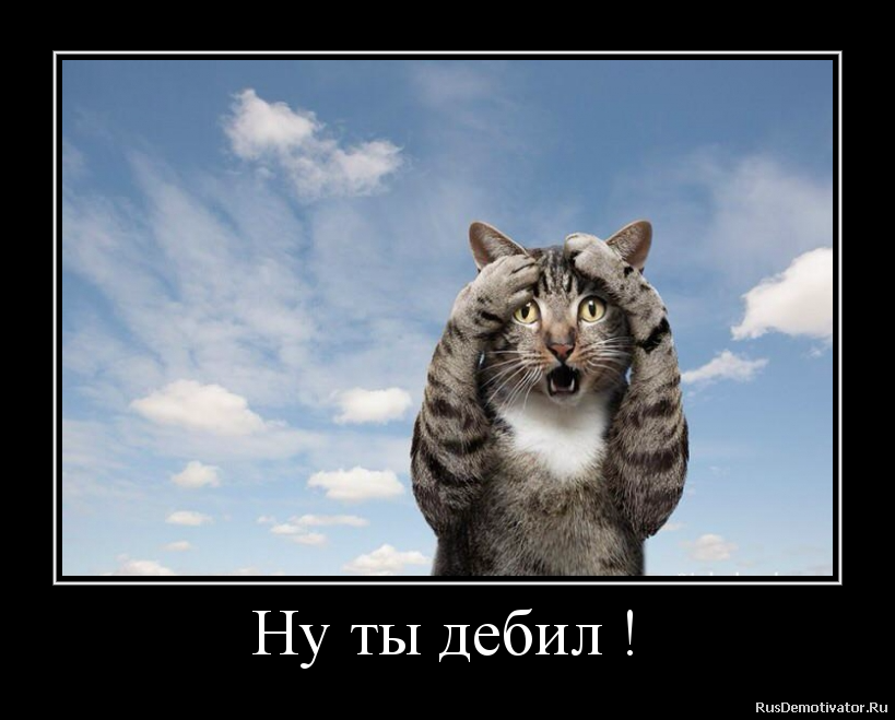 Ну ты дебил ! Ну ты дебил !