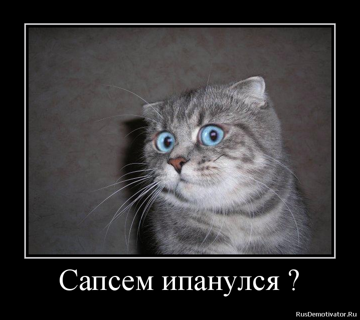 Сапсем ипанулся ? Сапсем ипанулся ?