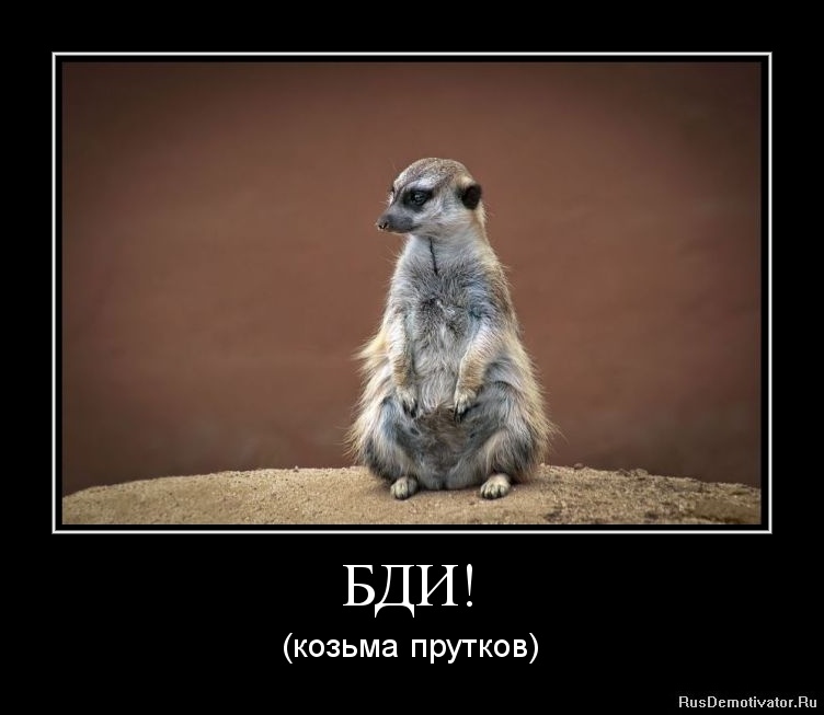 БДИ! - (козьма прутков) БДИ! - (козьма прутков)