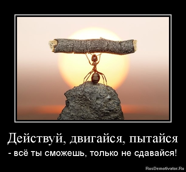 http://rusdemotivator.ru/uploads/05-13-12/1336919424-dejstvuj-dvigajsya-pytajsya.jpg