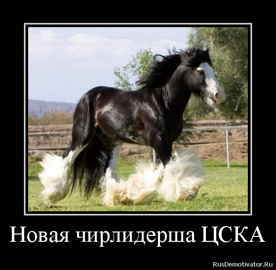 Новая чирлидерша ЦСКА Новая чирлидерша ЦСКА