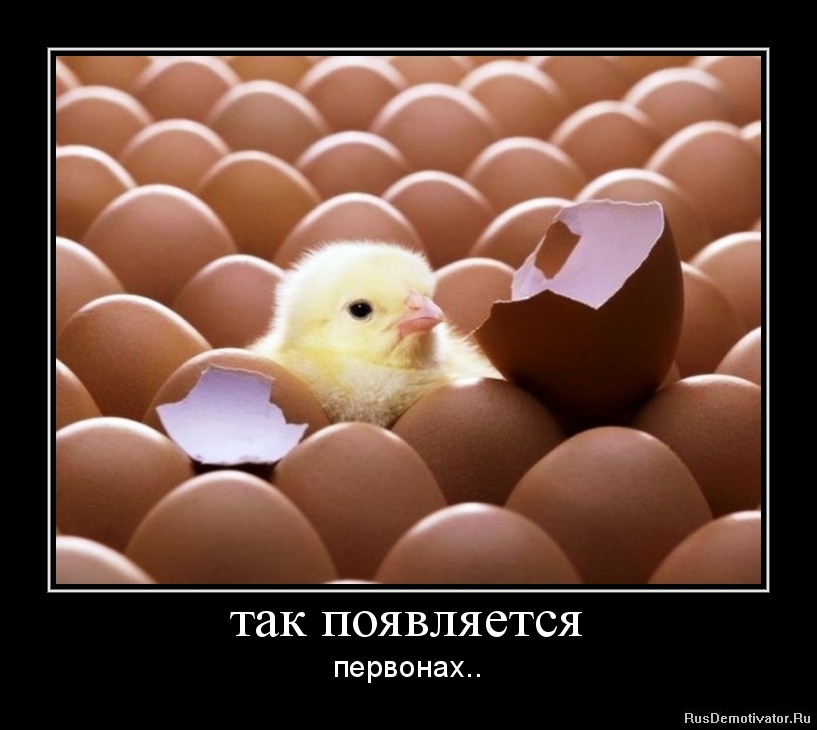 ��� ���������� - ��������..