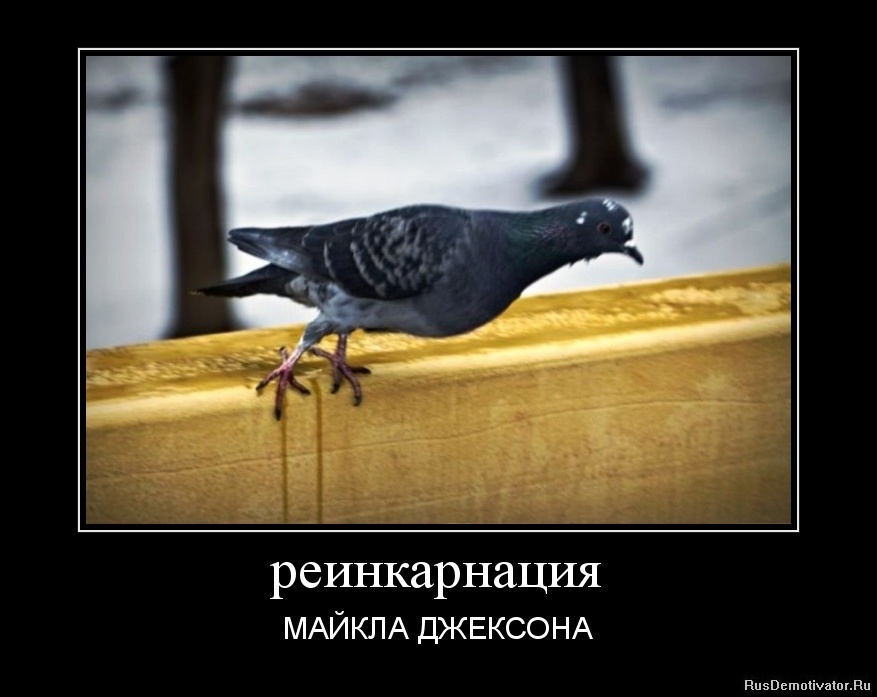 ������������ - ������ ��������