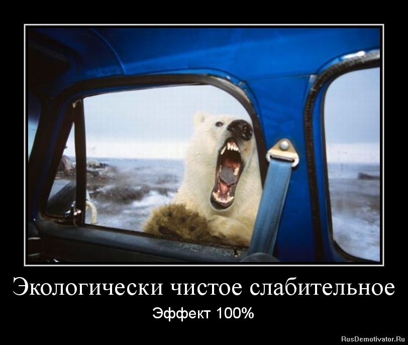 ������������ ������ ������������ - ������ 100%