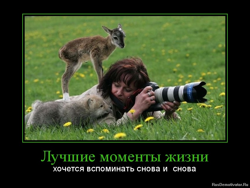 http://rusdemotivator.ru/uploads/05-27-13/1369658095-luchshie-momenty-zhizni.jpg