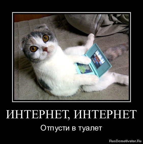 http://rusdemotivator.ru/uploads/05-31-11/1306791055-internet-internet.jpg
