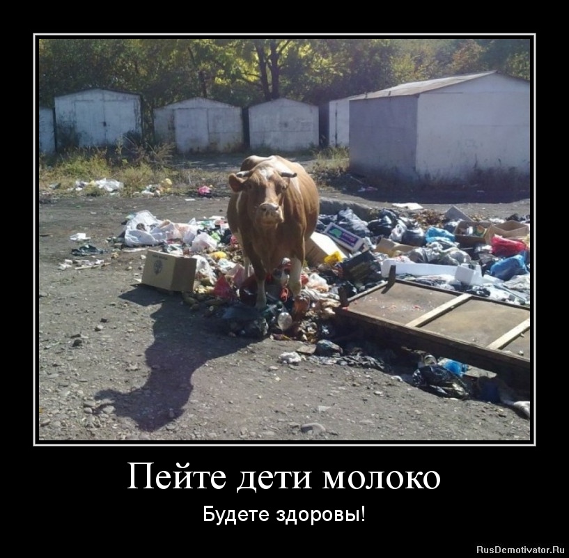 userimg