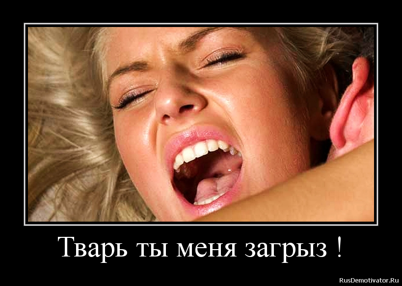 Тварь ты меня загрыз ! Тварь ты меня загрыз !