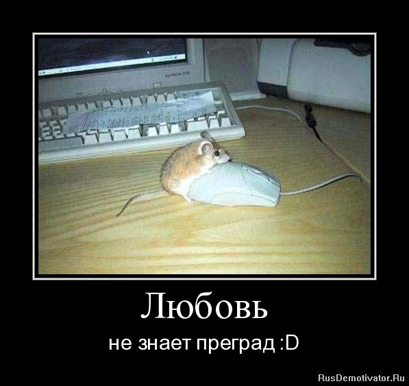 ������ - �� ����� ������� :D