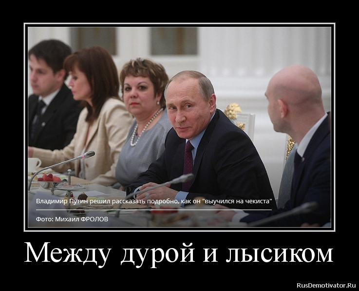 Между дурой и лысиком Между дурой и лысиком
