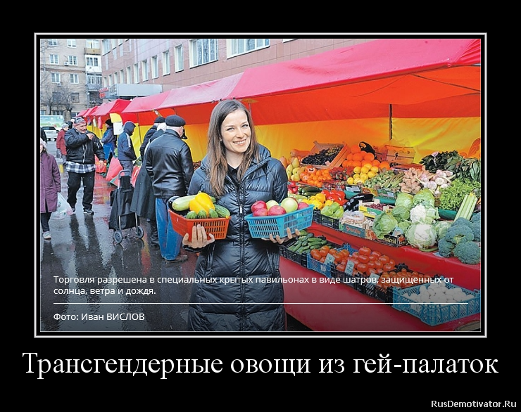 Трансгендерные овощи из гей-палаток Трансгендерные овощи из гей-палаток