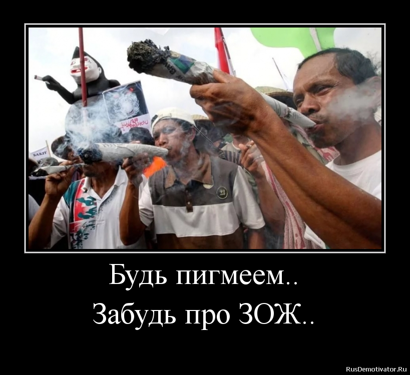 Будь пигмеем..
Забудь про ЗОЖ.. Будь пигмеем..
Забудь про ЗОЖ..