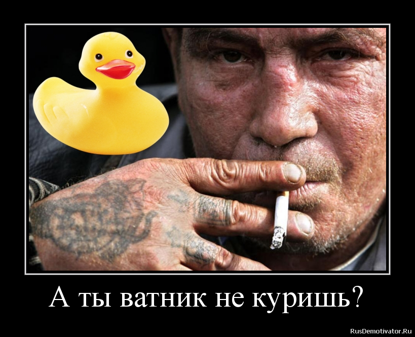 А ты ватник не куришь? А ты ватник не куришь?