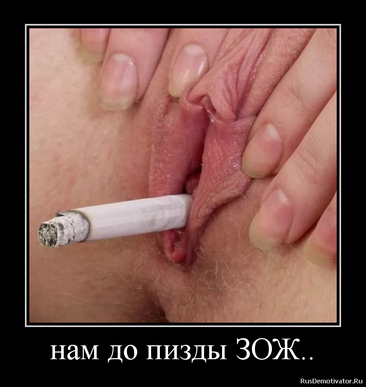 нам до пизды ЗОЖ.. нам до пизды ЗОЖ..