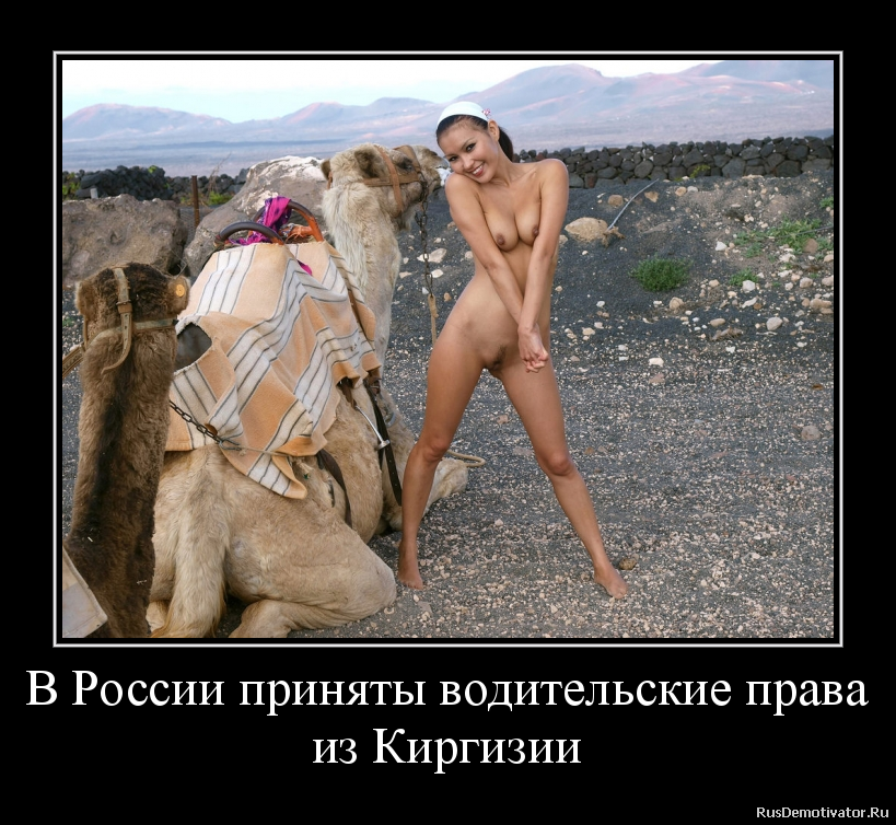 В России приняты водительские права
из Киргизии В России приняты водительские права
из Киргизии