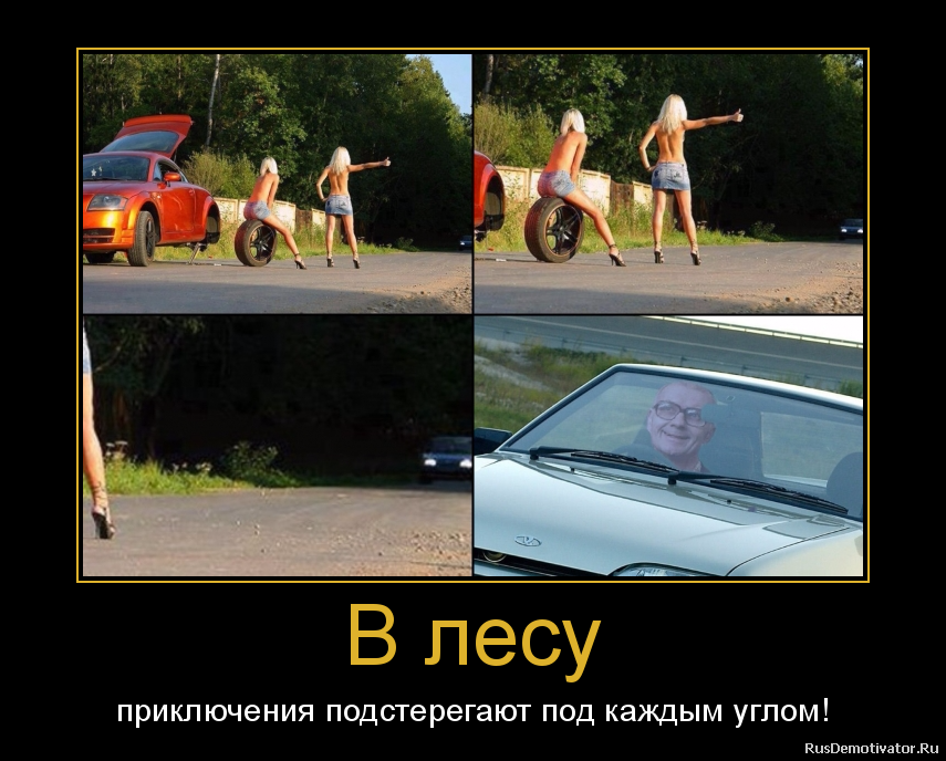 В лесу - приключения подстерегают под каждым углом! В лесу - приключения подстерегают под каждым углом!