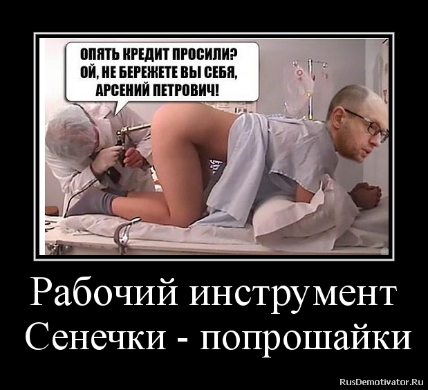 Рабочий инструмент
Сенечки - попрошайки Рабочий инструмент
Сенечки - попрошайки