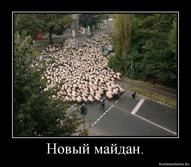 Новый майдан. Новый майдан.