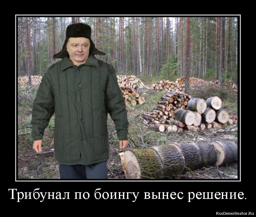 Трибунал по боингу вынес решение. Трибунал по боингу вынес решение.