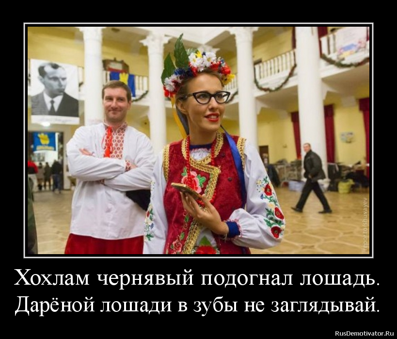 Хохлам чернявый подогнал лошадь.
Дарёной лошади в зубы не заглядывай. Хохлам чернявый подогнал лошадь.
Дарёной лошади в зубы не заглядывай.