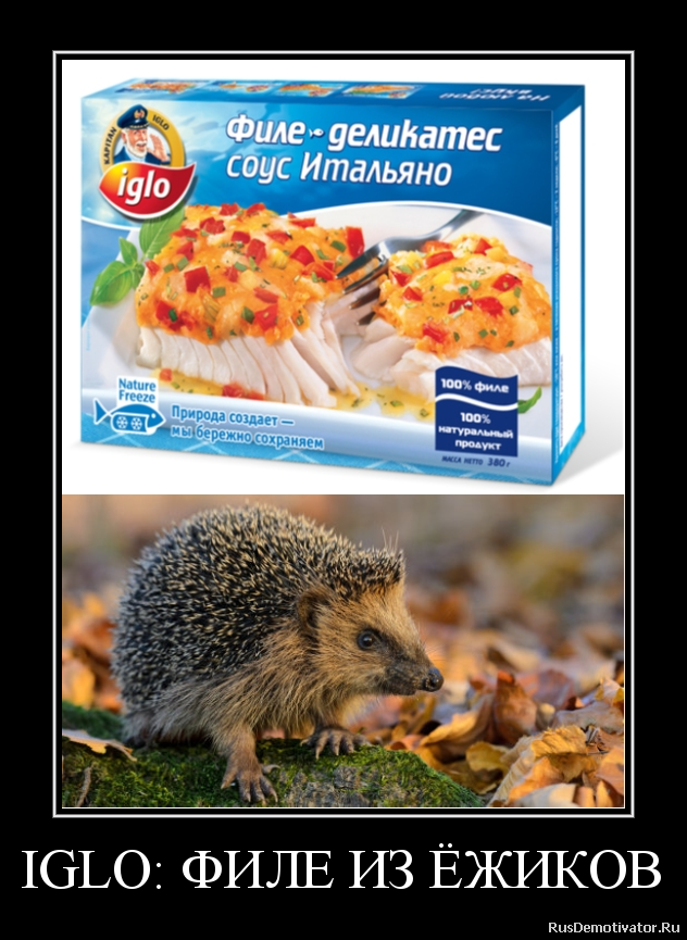 IGLO: ФИЛЕ ИЗ ЁЖИКОВ IGLO: ФИЛЕ ИЗ ЁЖИКОВ