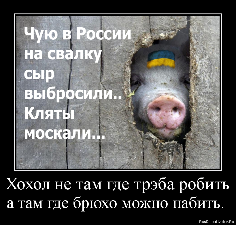 Хохол не там где трэба робить
а там где брюхо можно набить. Хохол не там где трэба робить
а там где брюхо можно набить.