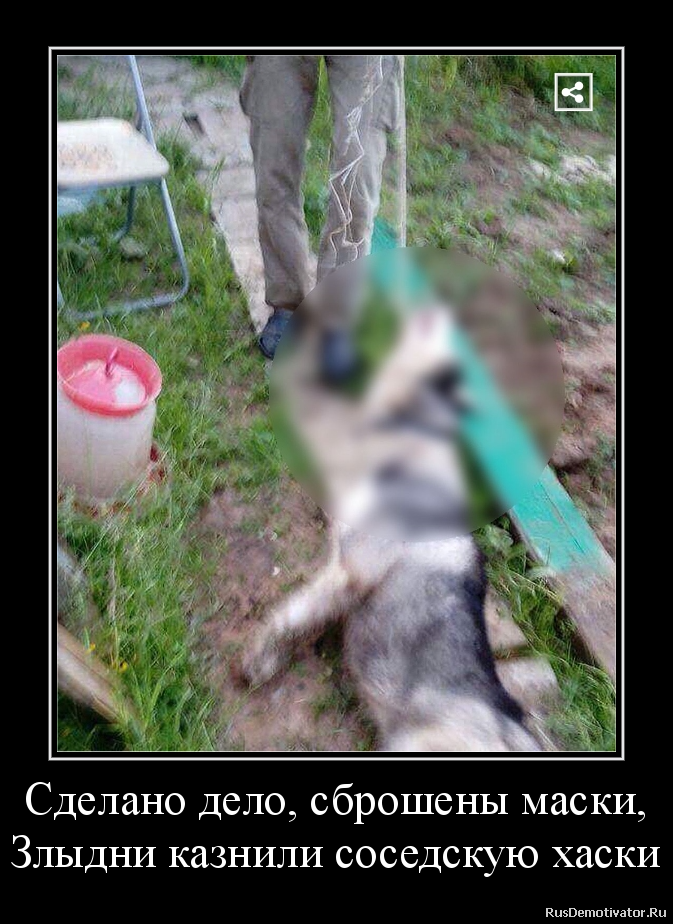 Сделано дело, сброшены маски,
Злыдни казнили соседскую хаски Сделано дело, сброшены маски,
Злыдни казнили соседскую хаски