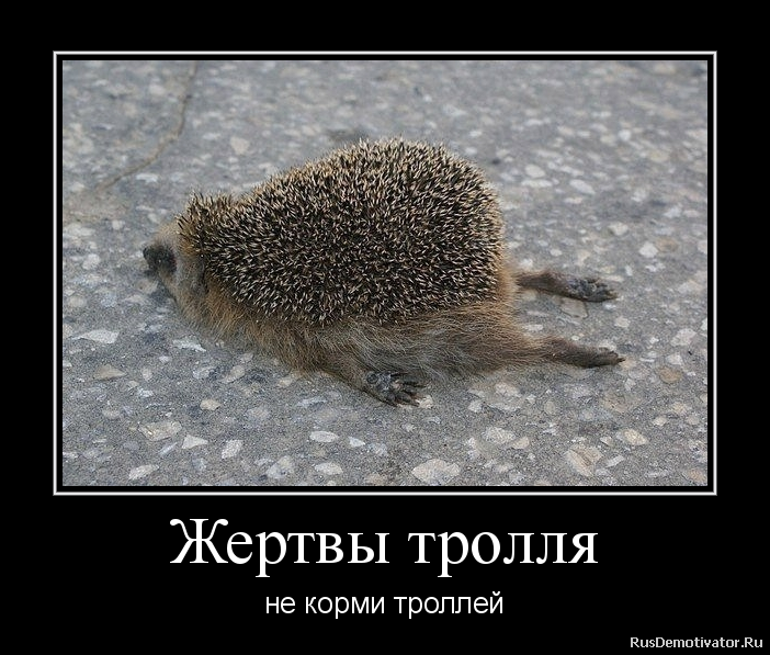По чему ходит ёжик По чему ходит ёжик