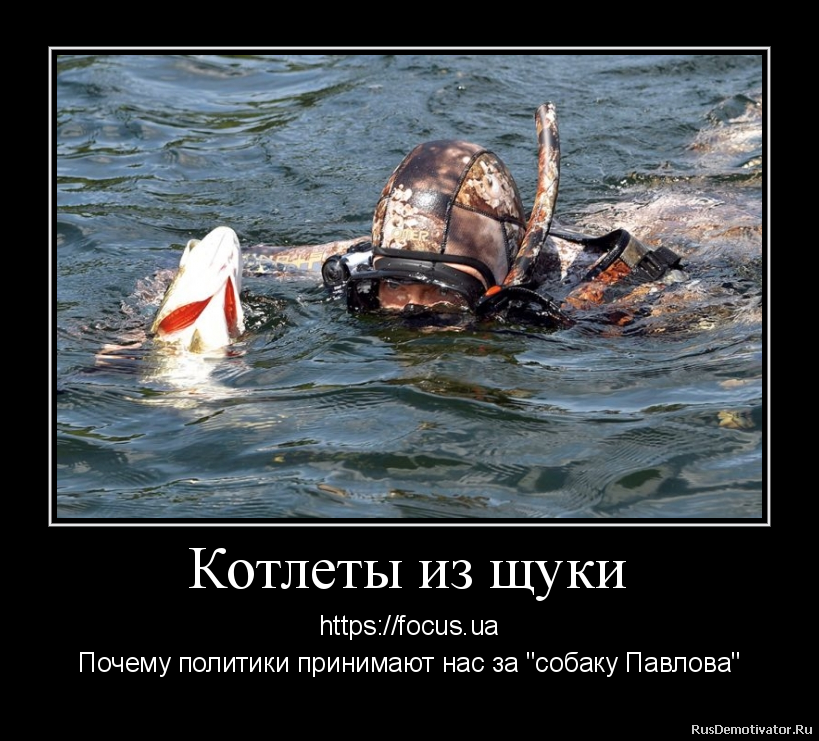 Котлеты из щуки - https://focus.ua
Почему политики принимают нас за Котлеты из щуки - https://focus.ua
Почему политики принимают нас за