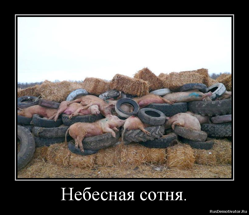 Небесная сотня. Небесная сотня.