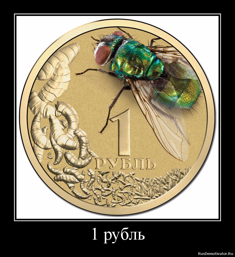 1 рубль 1 рубль