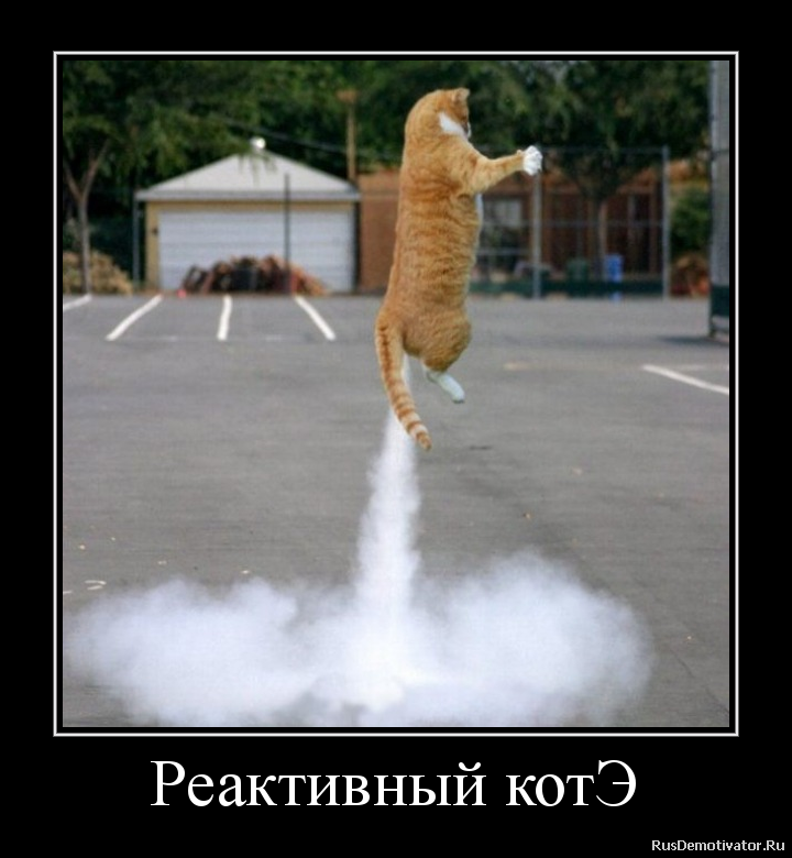 Реактивный котЭ Реактивный котЭ