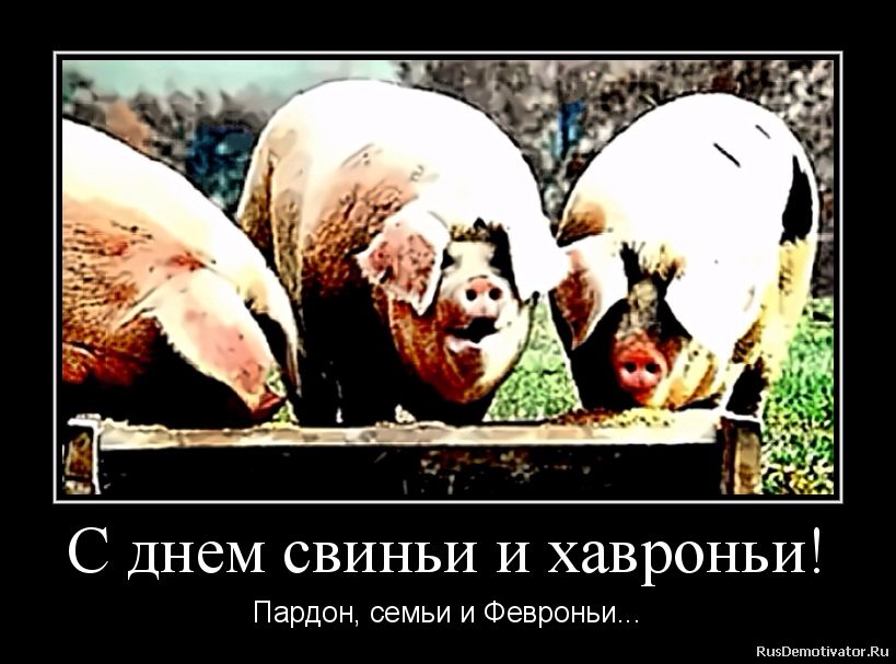 С днем свиньи и хавроньи! - Пардон, семьи и Февроньи... С днем свиньи и хавроньи! - Пардон, семьи и Февроньи...