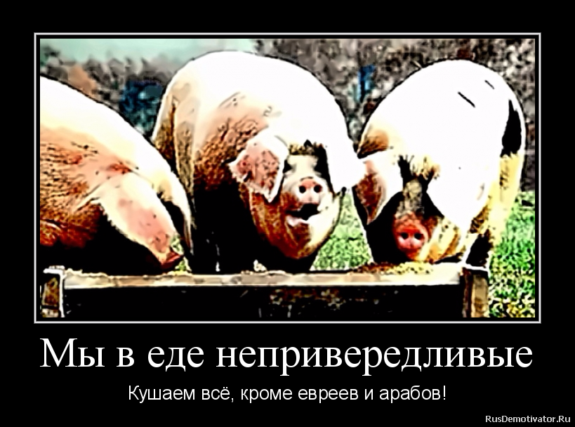 Мы в еде непривередливые - Кушаем всё, кроме евреев и арабов! Мы в еде непривередливые - Кушаем всё, кроме евреев и арабов!
