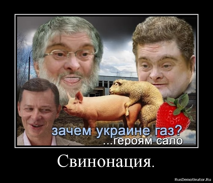 Свинонация. Свинонация.