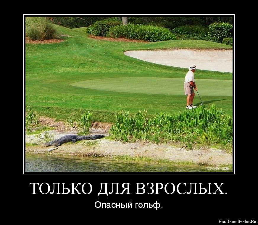 Опубликованное фото