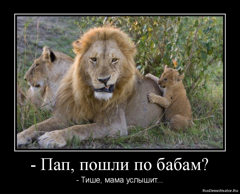 Опубликованное фото