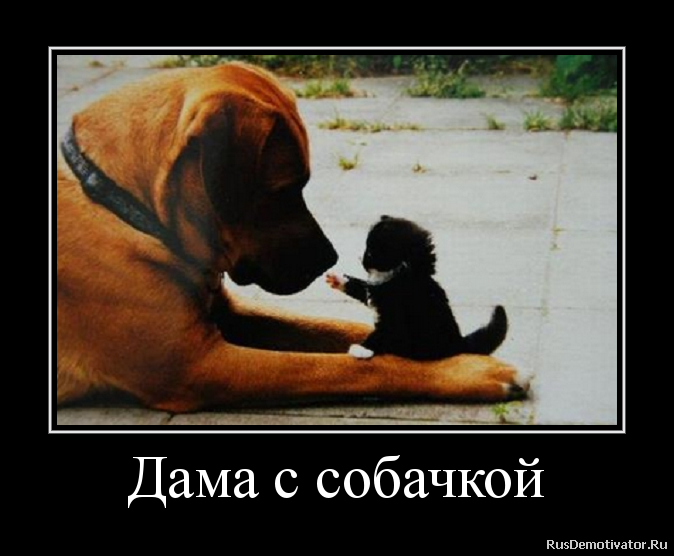 Опубликованное фото