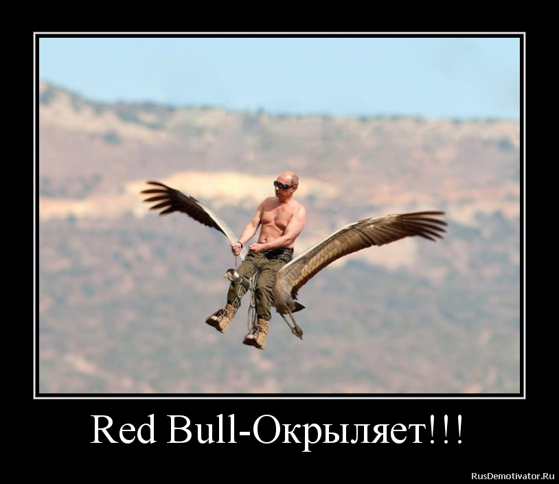 Red Bull-!!!