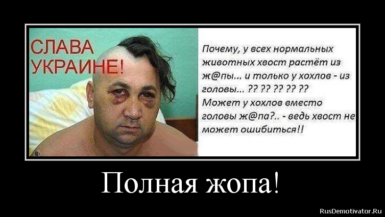 Полная жопа! Полная жопа!